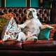Illustration for article titled Cozy Up Your Home Decor With One of These Suave Couches That Wont Break the Bank